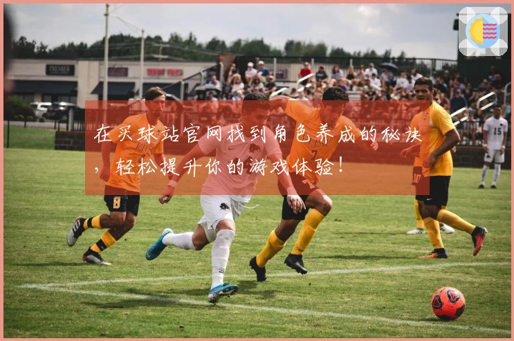 在买球站官网找到角色养成的秘诀，轻松提升你的游戏体验！
